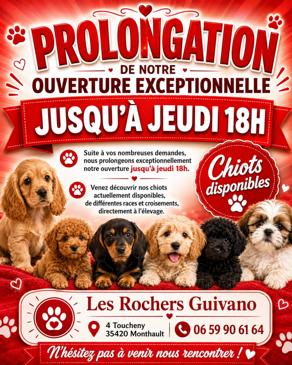 PORTES OUVERTES CETTE SEMAINE