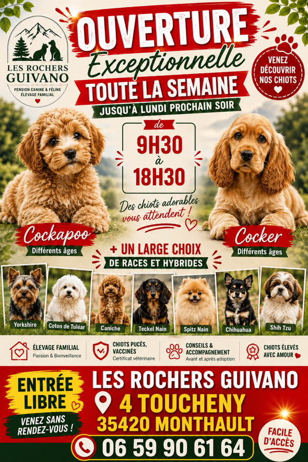 PORTES OUVERTES CETTE SEMAINE