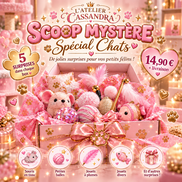 🎀🐾 Scoop Mystère Spécial Chats,