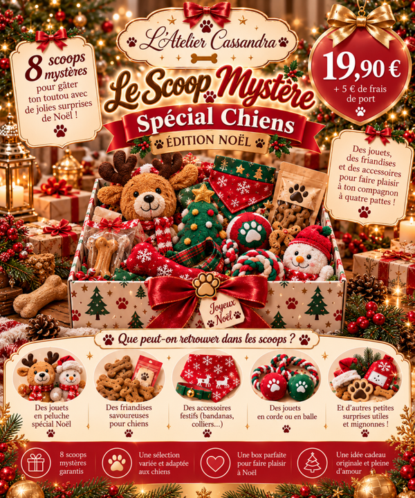 LE SCOOP MYSTÈRE SPÉCIAL CHIENS : ÉDITION NOËL 🐾🎄