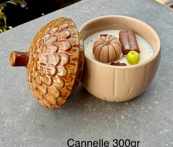 Bougie gland 300gr cannelle