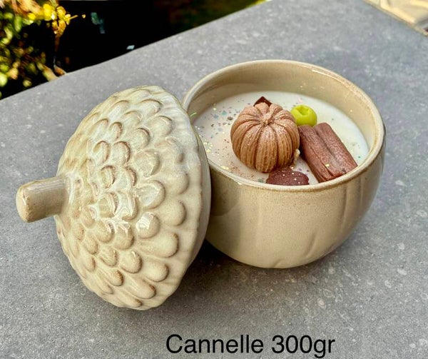 Bougie gland 300gr cannelle