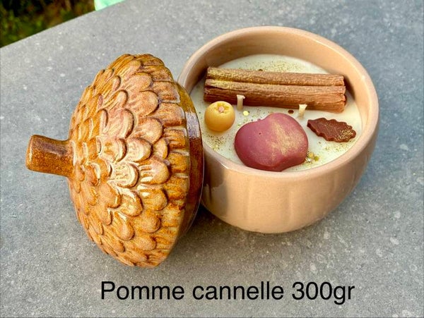 Bougie gland 300gr pomme cannelle