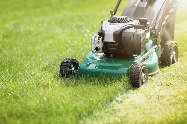 Lawn Mowing, Edging, And Trimming.