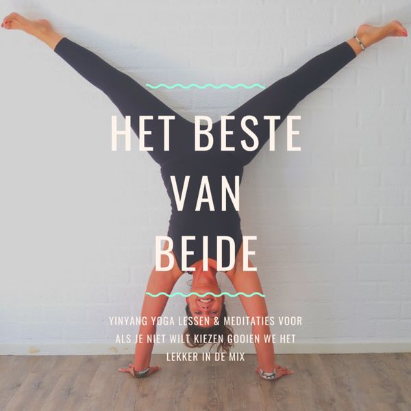 Het beste van beide Yin Yang yoga online
