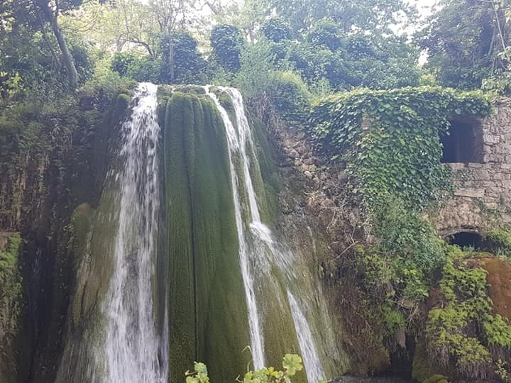 Saskia Peterzon - Literaire avonturen