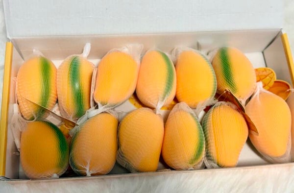Squishy mango toy
