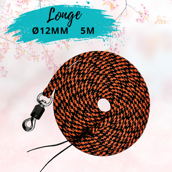 Longe 5m Diam 12mm