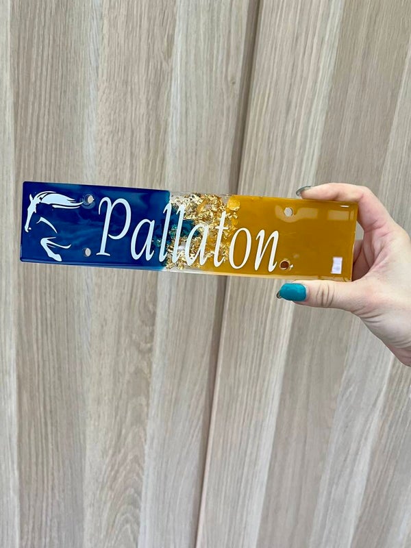 Plaque de box en résine