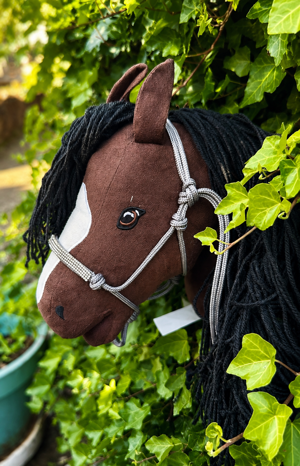 Licol Strass Hobby Horse