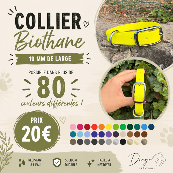 Collier Classique 19 mm