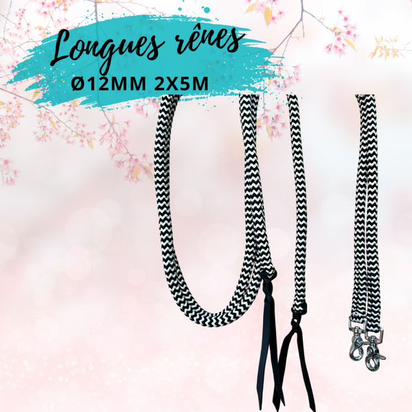 Rênes 2x 5m diamètre 12 mm