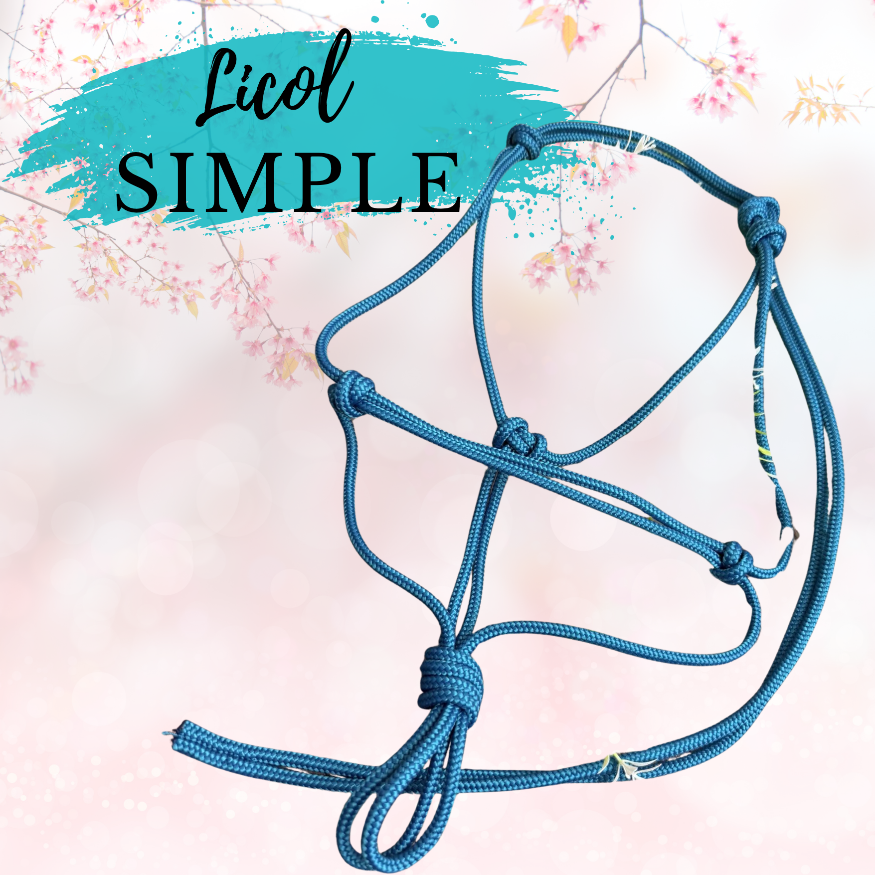 Licol Simple