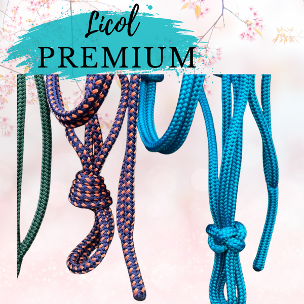 Licol Simple Premium