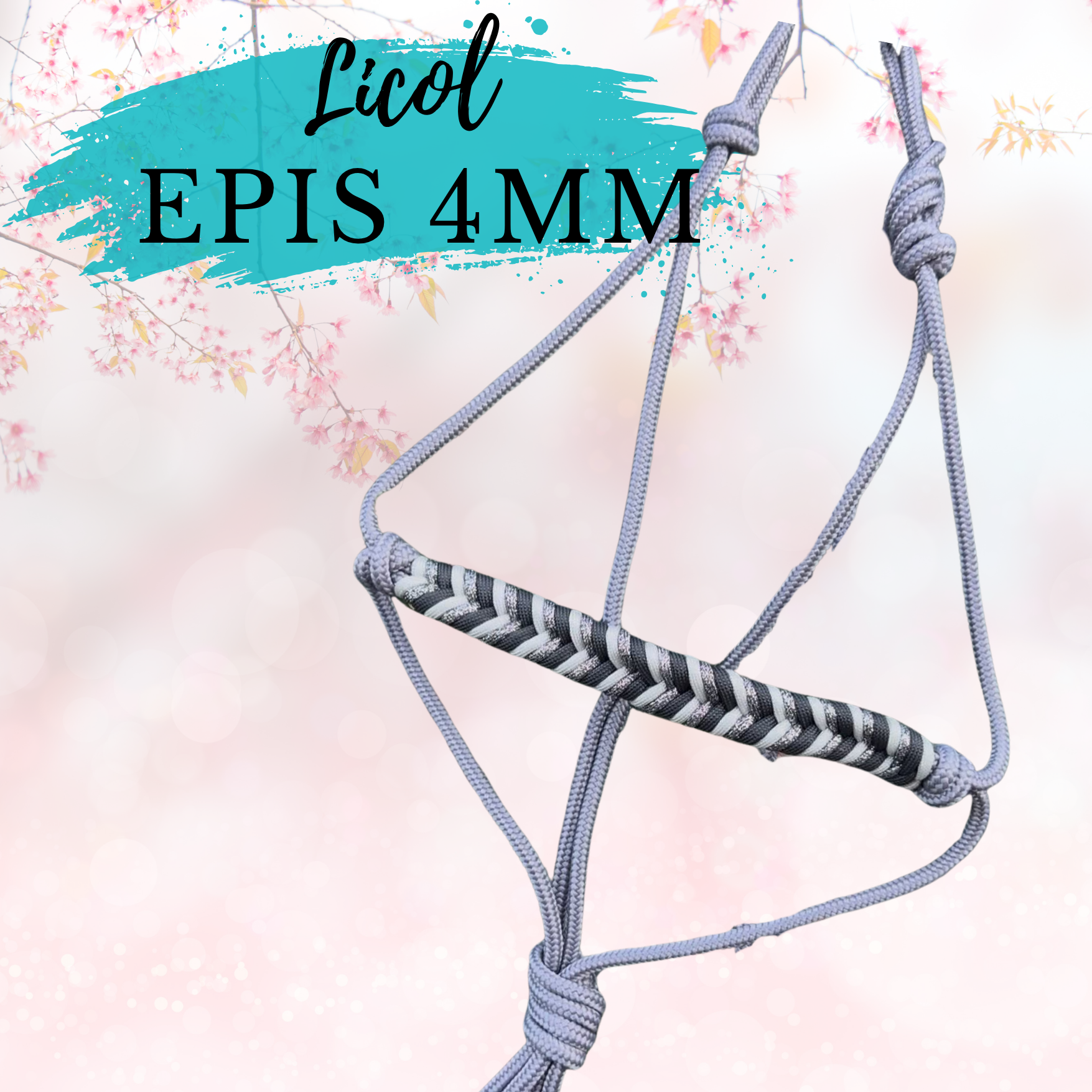 Licol tressage épis 4 mm