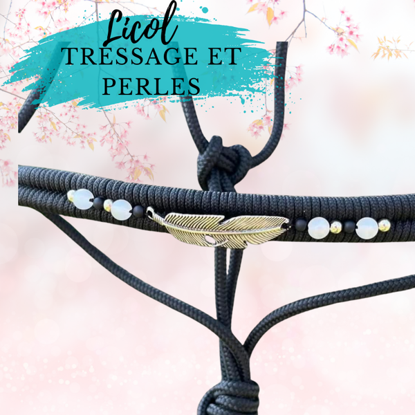 Licol tressage perles + plume unis