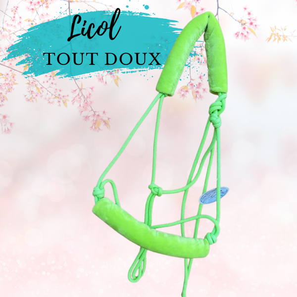 Licol "Tout doux"