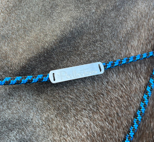 Plaque licol gravée