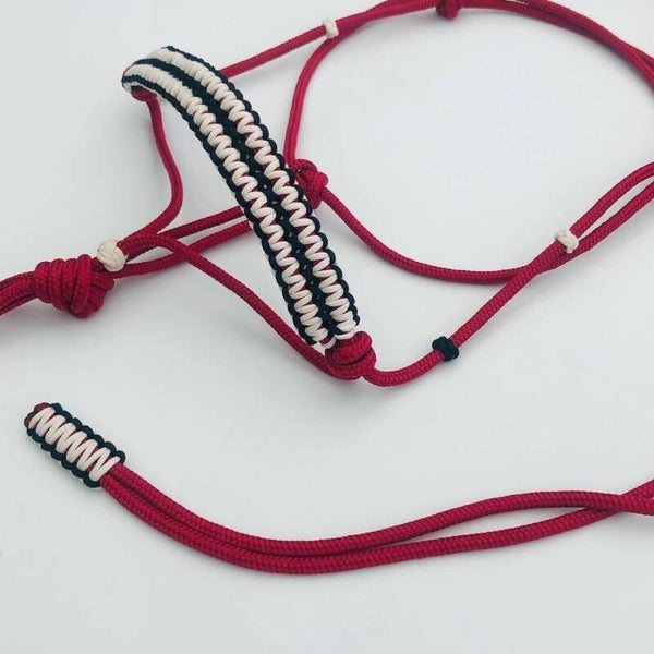 Licol tressage large 1