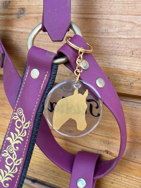 Portes clés / médaillons licols