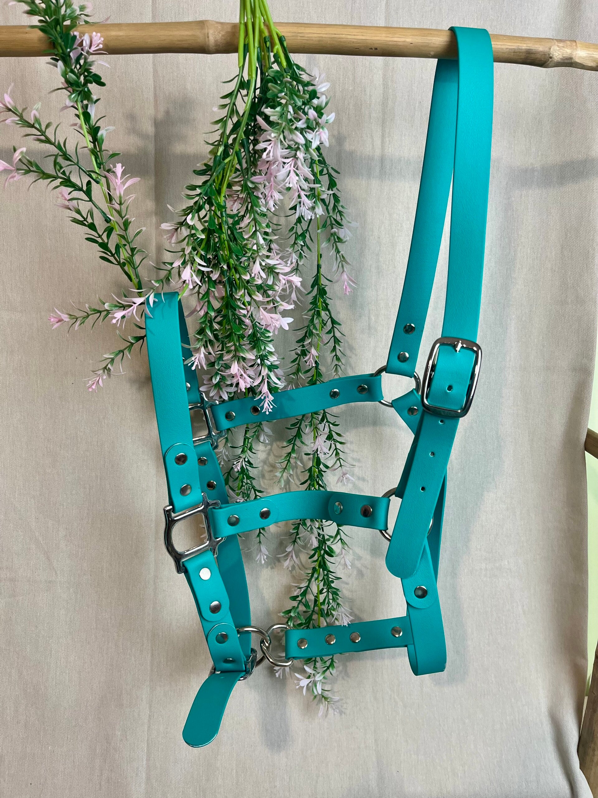 Licol Biothane Simple 2.5cm