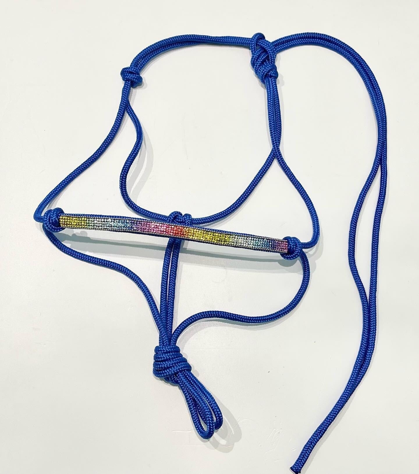 Licol strass arc en ciel