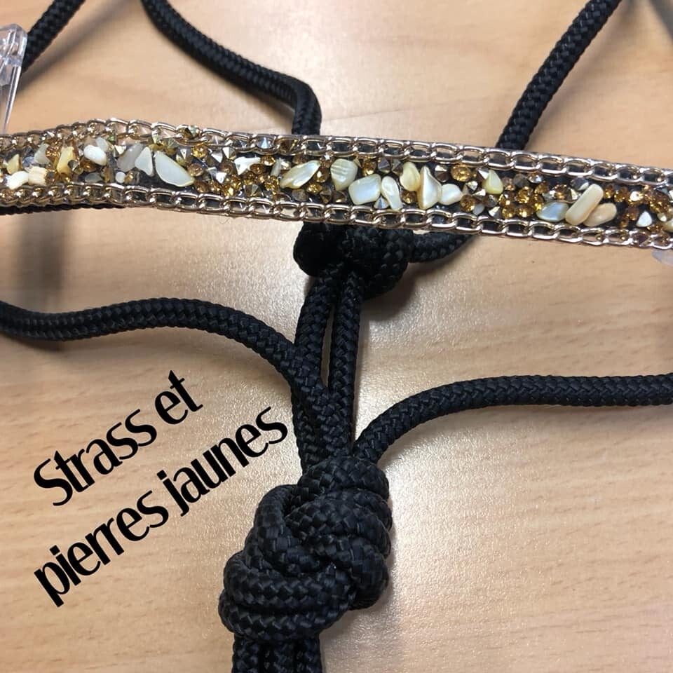 Licol strass pierres jaune chaîne dorée