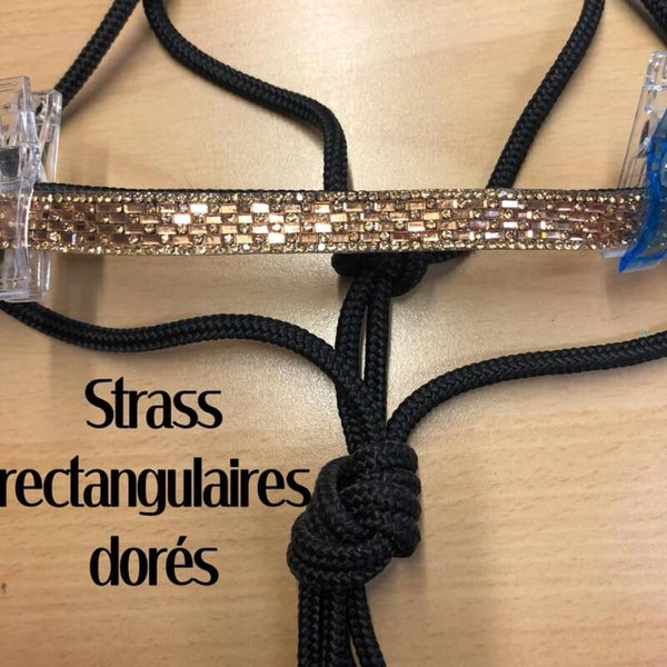 Licol strass rectangulaire doré