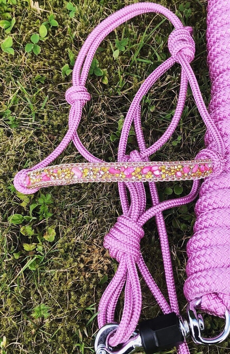 Licol Strass pierres rose chaîne dorée