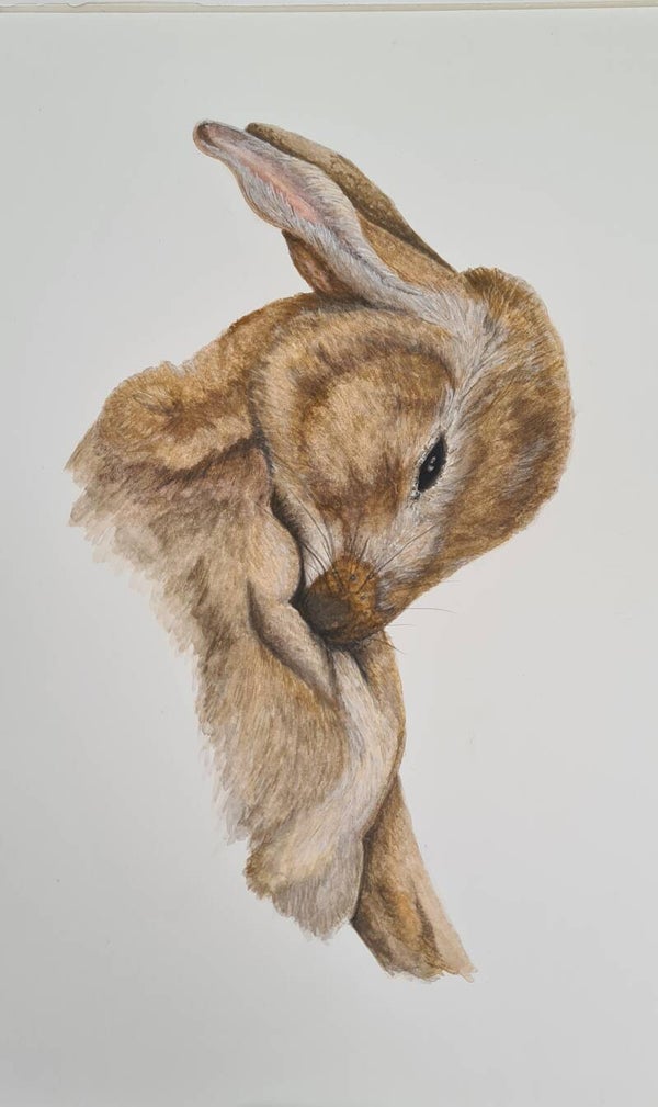 The Gentle Bunny