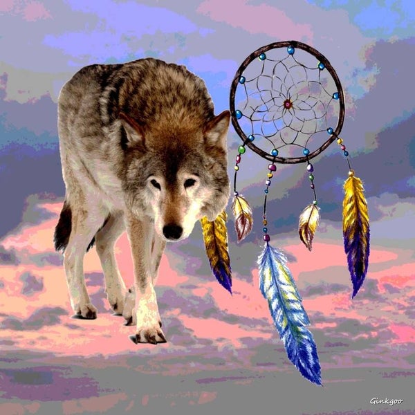 Loup, attrape-rêves