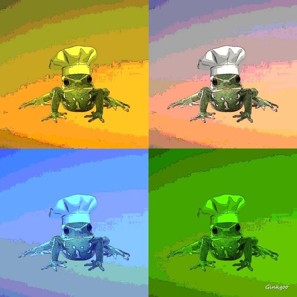 Grenouille Chef