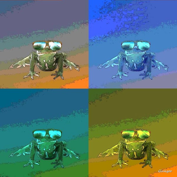 Grenouille en vacances
