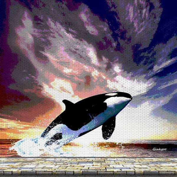 Baleine