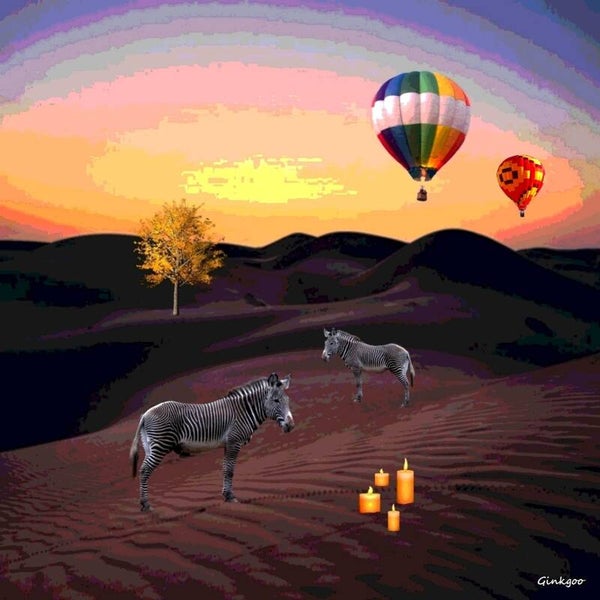 Duo de zèbres au crépuscule