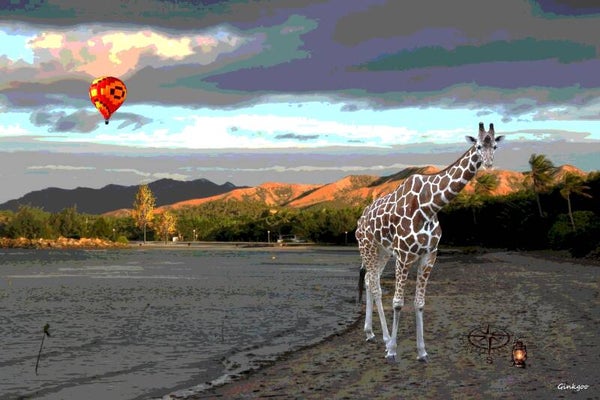 La girafe cherche le sud
