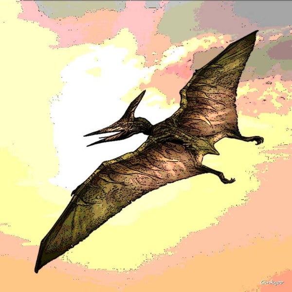 Pteranodon