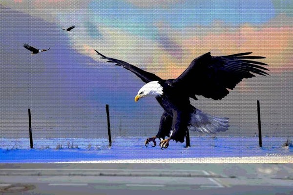 Street Art Aigle 2