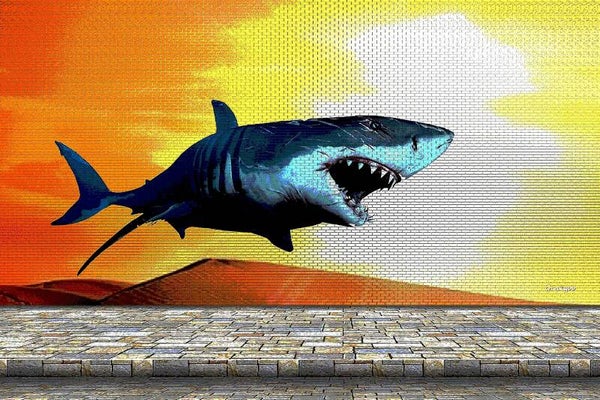 Street Art Requin