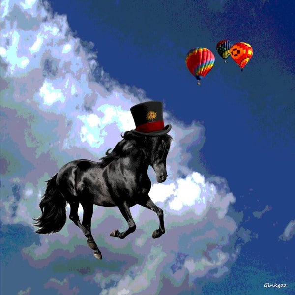 Cheval noir envole-toi
