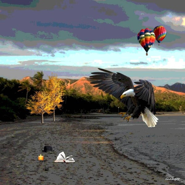 L'aigle, avide de savoir