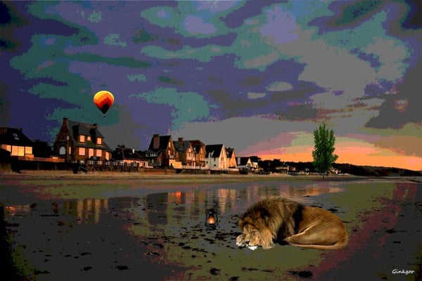 Le lion dort ce soir