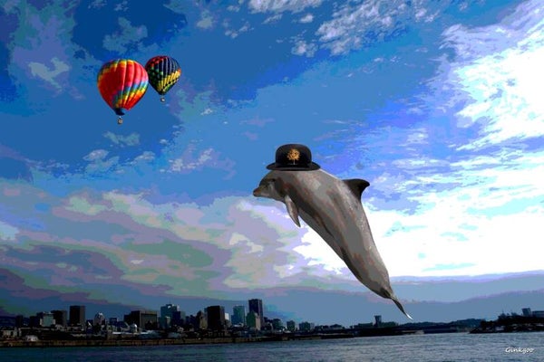 Un dauphin dans la ville