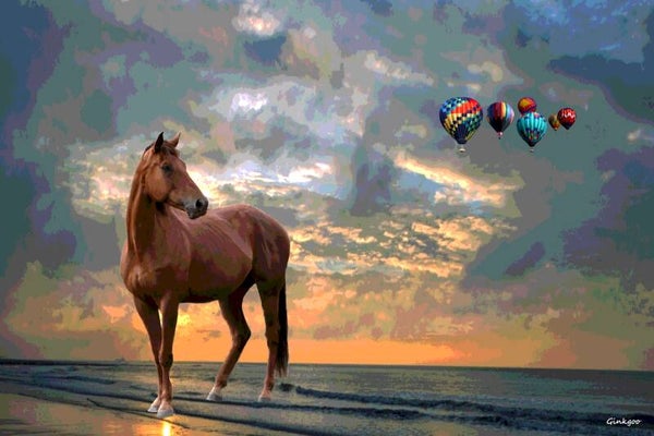 Libre