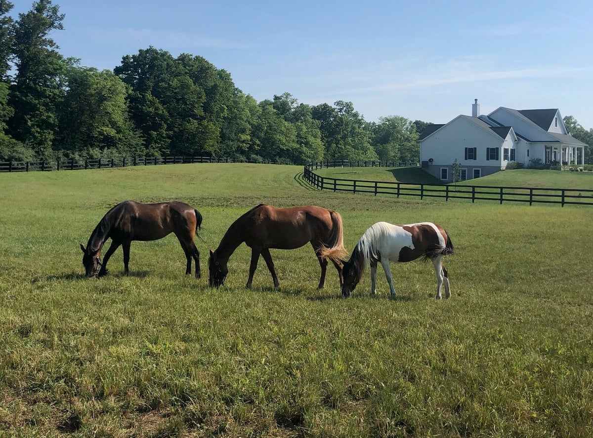 Three Star Ranch | Newman & Associates Collaborative Psychological Services