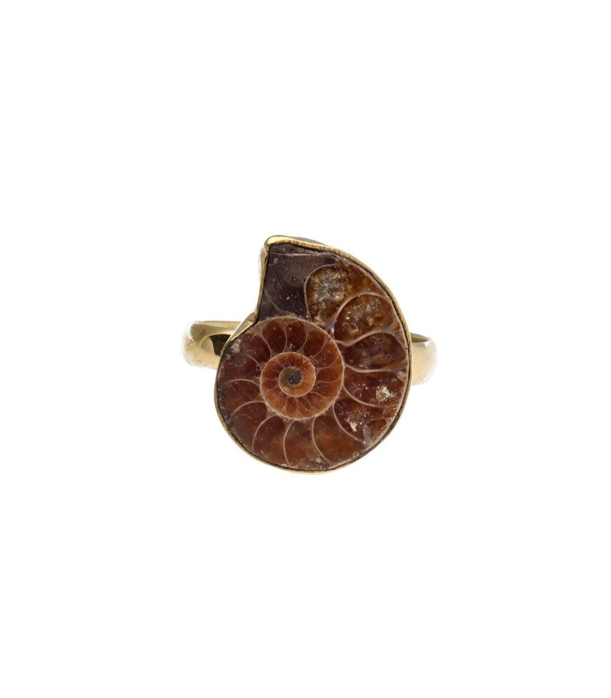 Anillo ajustable de bronce con ammonite