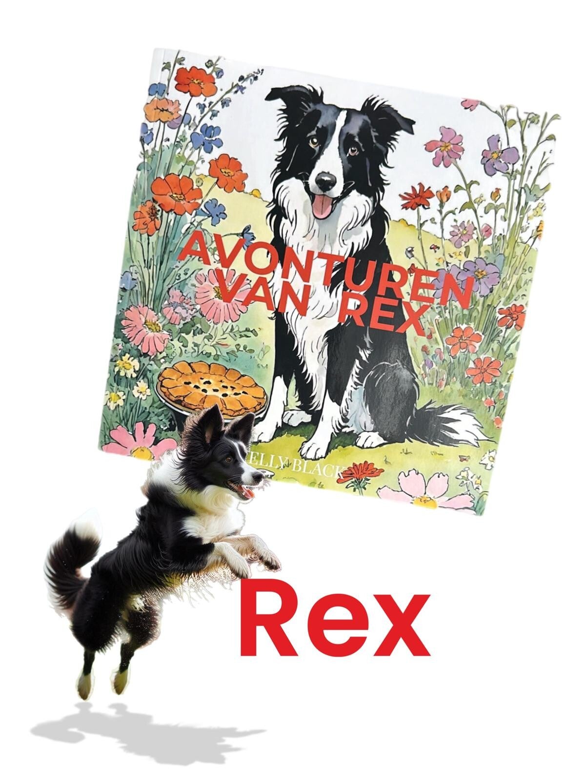 Avonturen van Rex