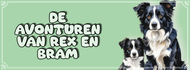 Onze Border Collie Rex