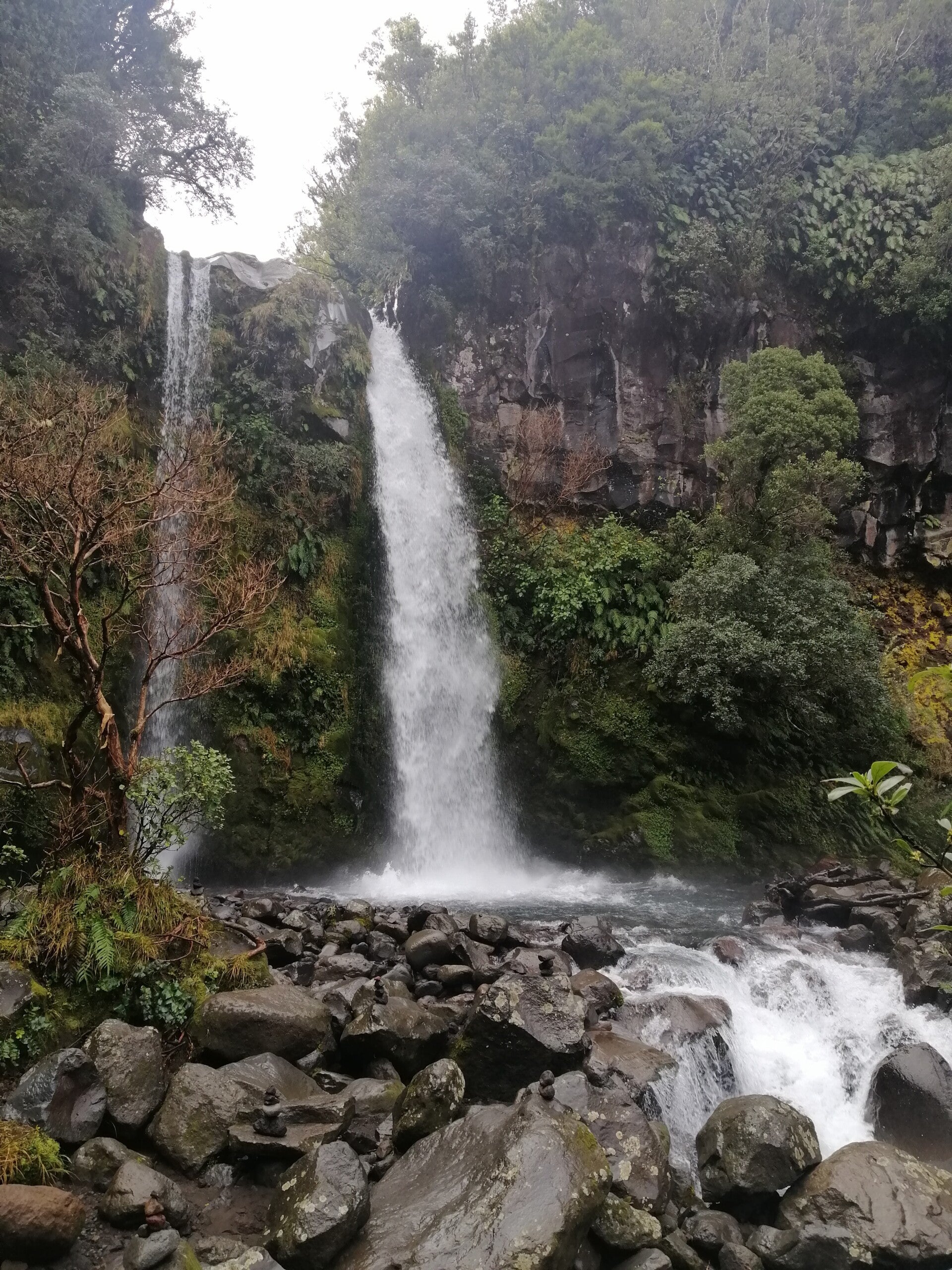 Two waterfalls cascading over a rock cliff, through the foliage and into a rock bottom pond 