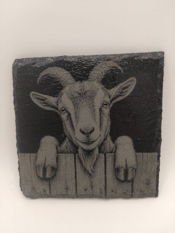 Peeping Goat
